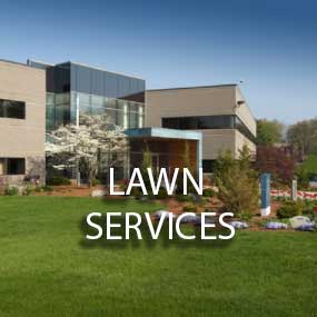 lawn services