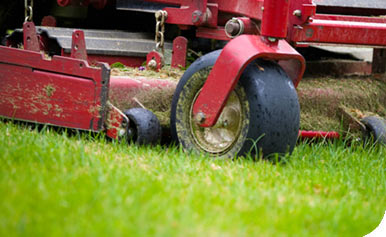 red lawnmower cutter grass